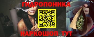ПСИЛОЦИБИНОВЫЕ ГРИБЫ Среднеуральск