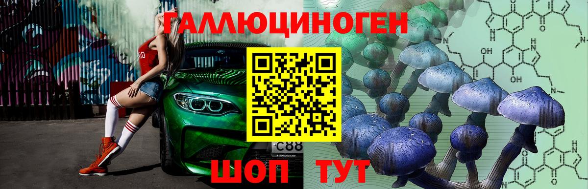 Отрадное  Псилоцибиновые грибы GOLDEN TEACHER  Галлюциногенные грибы Cubensis  Вход с VPN 
